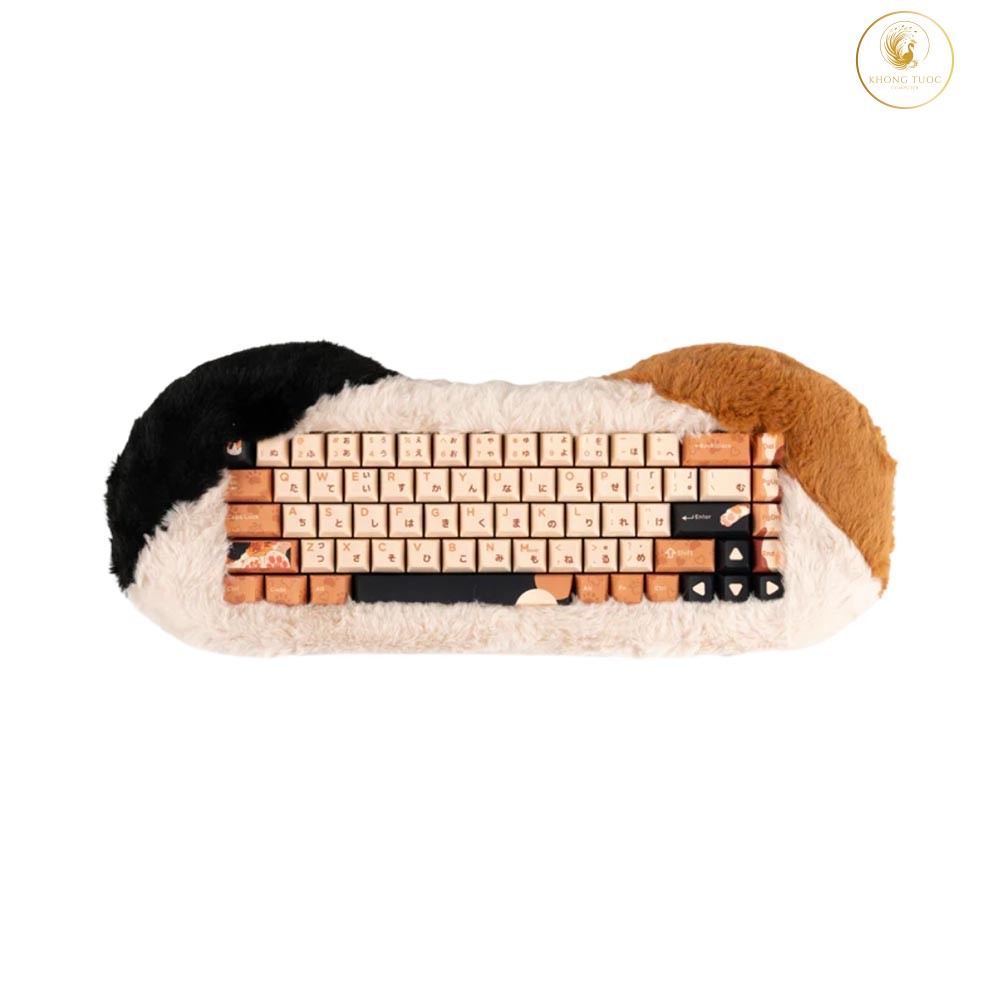 Bàn phím cơ không dây Dry Studio PetBrick 65 Calico RGB Hotswap (Dry Studio Sw)